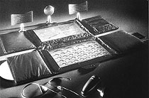 飞利浦公司与奥利维蒂公司合作设计的“魔毯”电脑